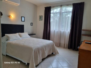 Delfin bnb